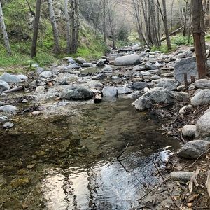 Meet your Posher, Marcela